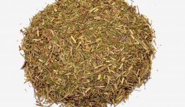 Comprar Abrotano macho. Tienda online El Reloj. Especialistas en plantas medicinales y herboristería