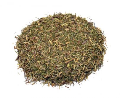 Abrotano Macho - Imagen 3