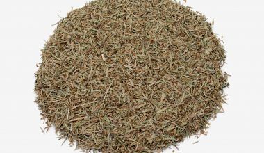 Venta online de hojas de Ajedrea. Plantas medicinales y herboristería