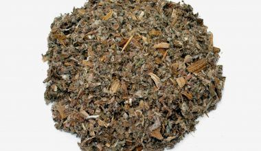 Comprar Alcachofera. Tienda online El Reloj. Especialistas en plantas medicinales y herboristería