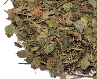 Hojas de Arándano - Imagen 3