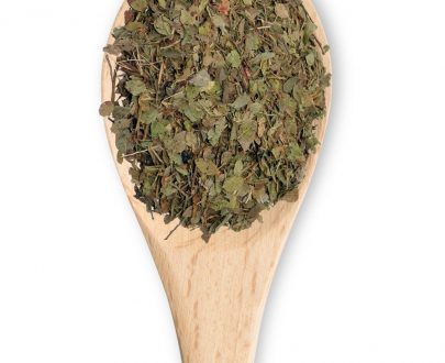 Hojas de Arándano - Imagen 4