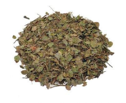 Hojas de Arándano - Imagen 2