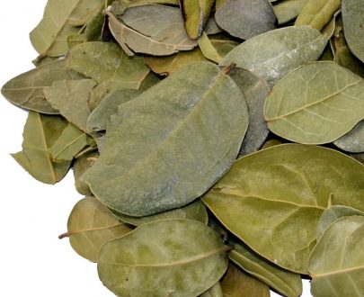 Boldo hojas - Image 2