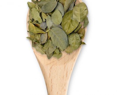 Boldo hojas - Image 4