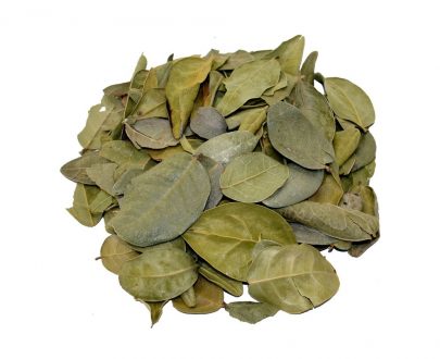 Boldo hojas - Image 3