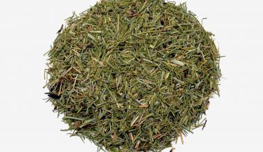 Comprar Cola de Caballo. Tienda online El Reloj. Especialistas en plantas medicinales y herboristería