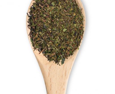 Diente de León - Imagen 4