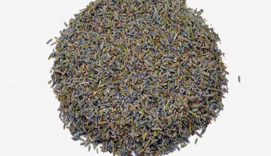 Comprar Espliego. Tienda online de plantas medicinales y herboristería