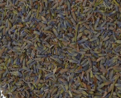 Espliego Lavanda - Imagen 3