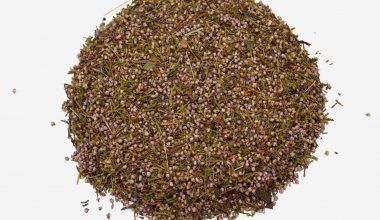 Comprar Flor de Brezo. Tienda online El Reloj. Especialistas en plantas medicinales y herboristería