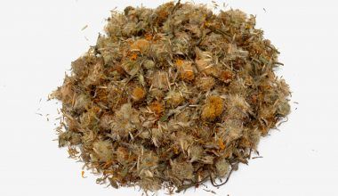Comprar Flore de Arnica. Tienda online El Reloj. Especialistas en plantas medicinales y herboristería