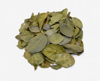 Comprar Hojas de Boldo. Tienda online El Reloj. Especialistas en plantas medicinales y herboristería