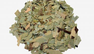 Comprar Hojas de Eucalipto. Tienda online El Reloj. Especialistas en plantas medicinales y herboristería