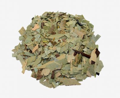 Comprar Hojas de Eucalipto. Tienda online El Reloj. Especialistas en plantas medicinales y herboristería