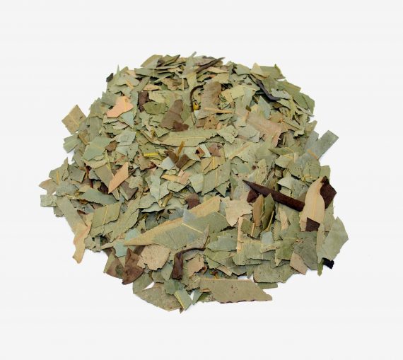 Comprar Hojas de Eucalipto. Tienda online El Reloj. Especialistas en plantas medicinales y herboristería