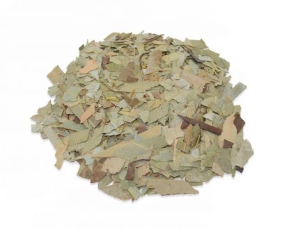 Eucalipto hojas - Imagen 3