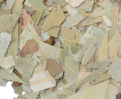 Eucalipto hojas - Imagen 2