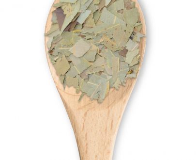 Eucalipto hojas - Imagen 4