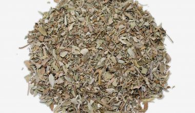 Comprar hojas de Salvia. Plantas medicinales y productos de herboristería