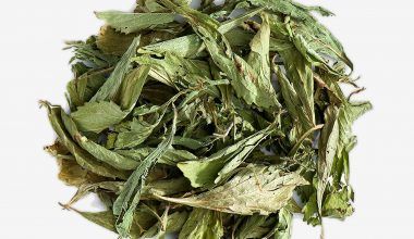 Comprar online Hojas de Stevia. Plantas medicinales y productos de herboristería