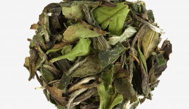 Té blanco Pai Mu Tam de hoja larga, bajo en teína y diurético