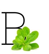 B - Especias, hierbas y frutos secos de la A a la Z