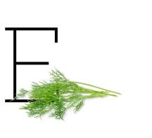 E - Especias, hierbas y frutos secos de la A a la Z