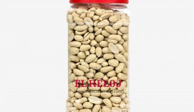 Venta online de Cacahuete crudo en formato bote hostelería 800 gramos (peso bruto)